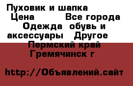 Пуховик и шапка  Adidas  › Цена ­ 100 - Все города Одежда, обувь и аксессуары » Другое   . Пермский край,Гремячинск г.